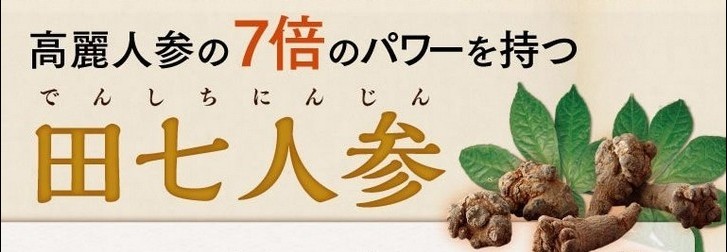 更年期症状や自律神経失調症に!【白井田七。甕(しらいでんしち。かめ)】の効果について